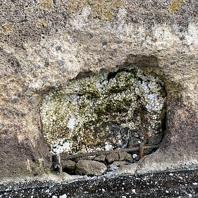 Auf diesem Bild ist einer der witterungsbedingten Schäden am Steg gezeigt. Es handelt sich um ein Loch im Beton. 